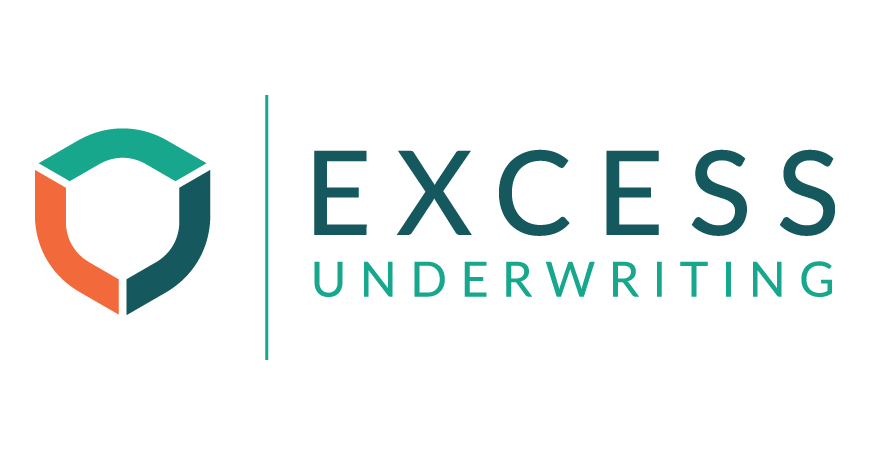 excess-logo-870x455-1